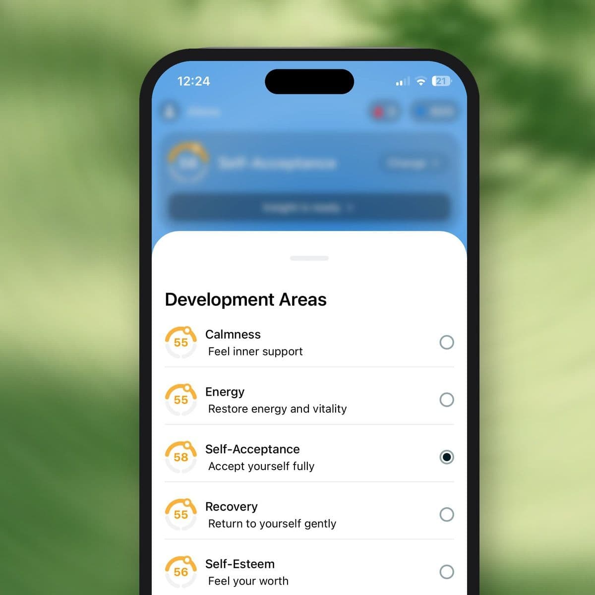 Dzeny app on a phone — self-esteem development areas